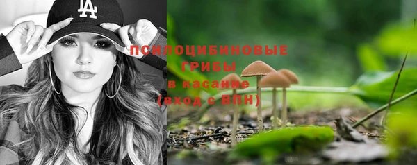 молекула духа Медногорск