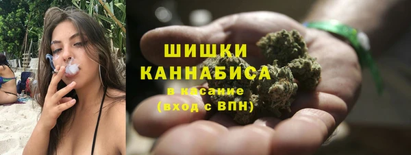 молекула духа Медногорск