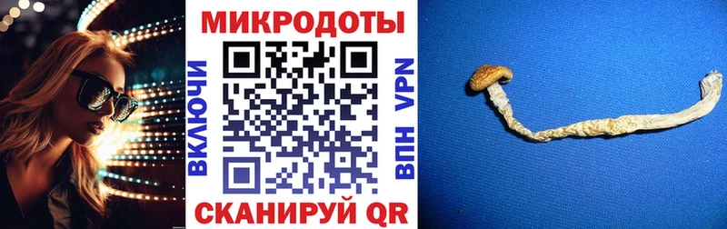 KRAKEN как зайти  Темников  Галлюциногенные грибы GOLDEN TEACHER 