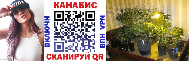 дарнет шоп  Темников  Канабис White Widow 